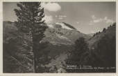 1930-08-11 Strada verso il Ghiacciaio dei Forni_RoccFl-03031A-AV2Vfor.jpg